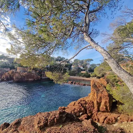 Appt Confort 3 Pieces Avec Terrasse Et Piscine A Saint-raphael - Fr-1-226a-124 Apartman *