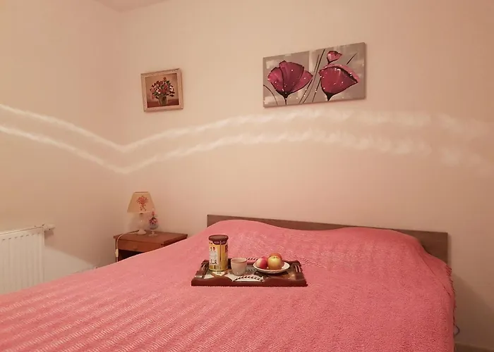 Appt Confort 3 Pieces Avec Terrasse Et Piscine A Saint-raphael - Fr-1-226a-124 Apartman *