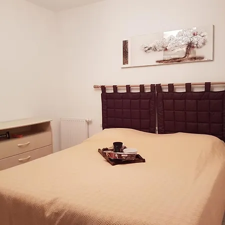 Appartement Appt Confort 3 Pieces Avec Terrasse Et Piscine A Saint-raphael - Fr-1-226a-124 Saint-Raphaël
