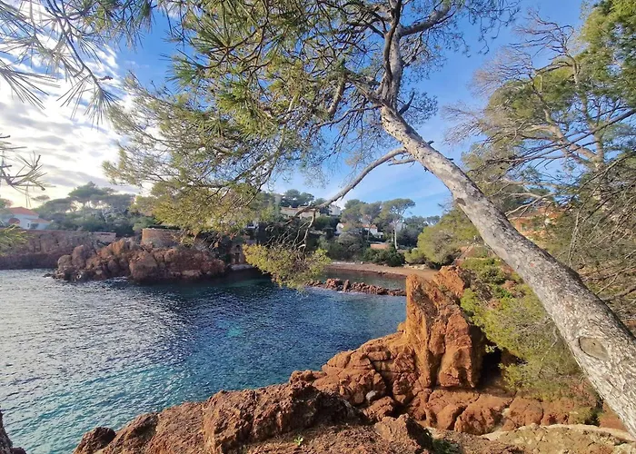 Appt Confort 3 Pieces Avec Terrasse Et Piscine A Saint-raphael - Fr-1-226a-124 Apartamento *